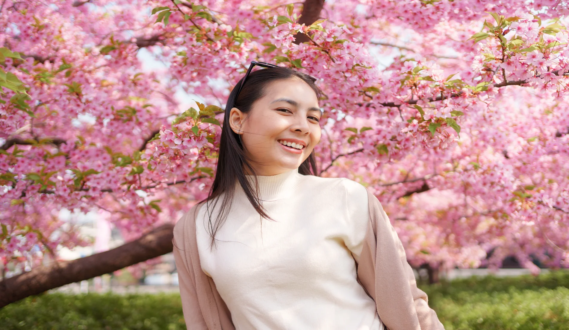 Itinerary Solo Travel Japan 14 Hari: Panduan Aman untuk Perempuan