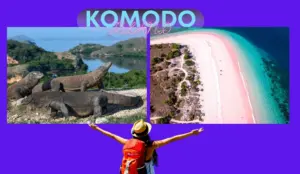 Pulau Komodo-INDONESIA